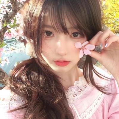 狮子护卫队第一季